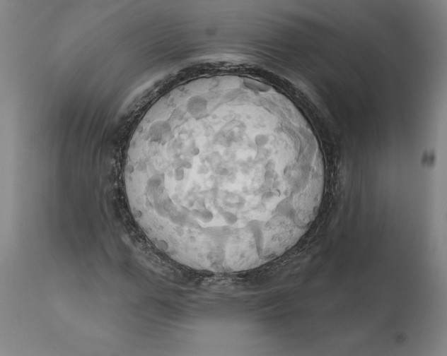 X0000110680967200907021906