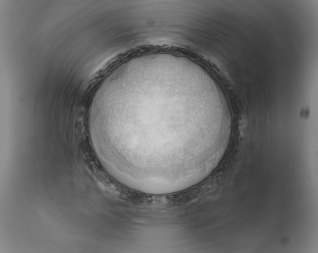 X0000110680968200907021906