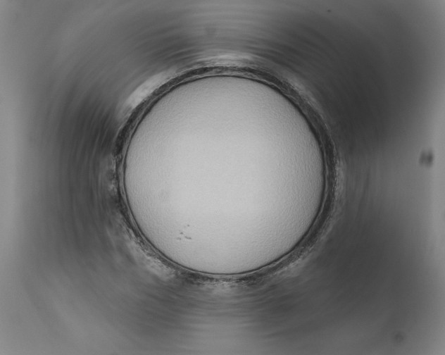 X0000110680970200907021906