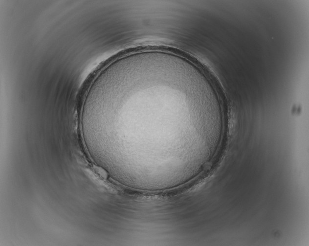 X0000110680973200907021906