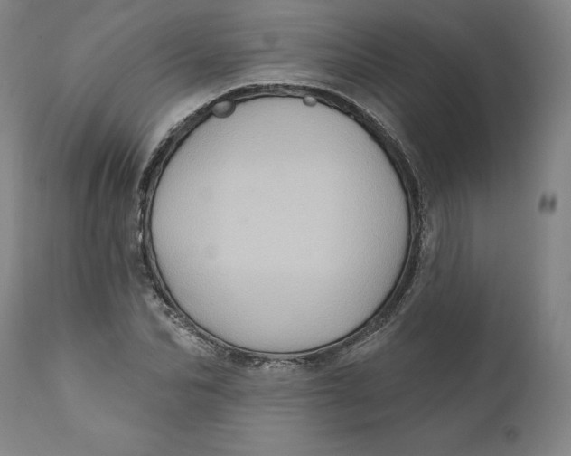 X0000110680974200907021906