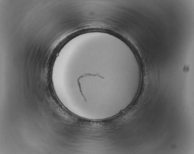 X0000110680975200907021906