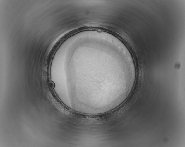 X0000110680976200907021906