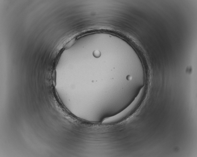 X0000110680977200907021906