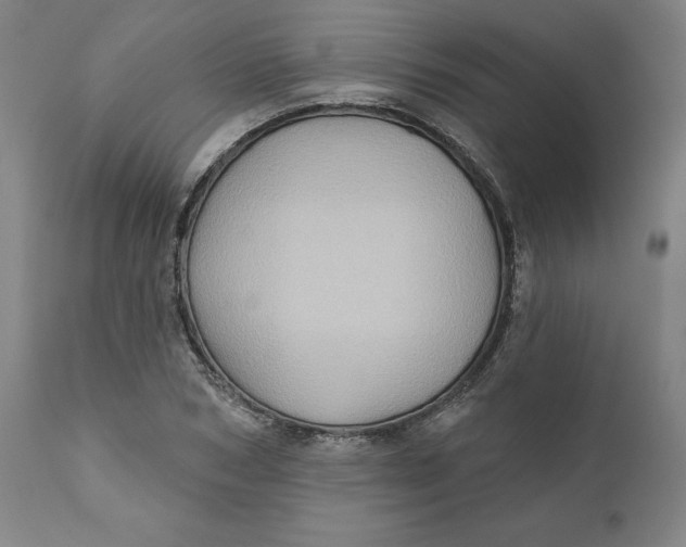 X0000110680978200907021906