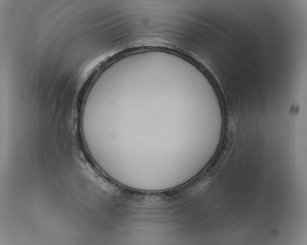 X0000110680979200907021906