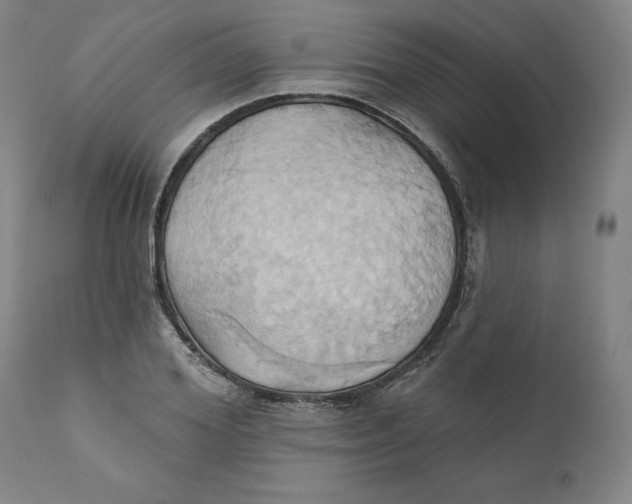 X0000110680980200907021906