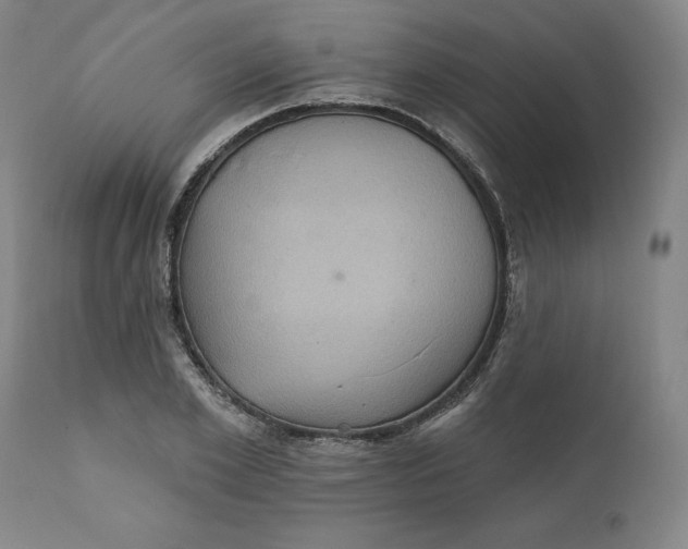 X0000110680981200907021906