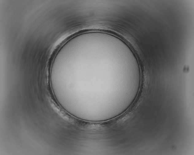 X0000110680982200907021906