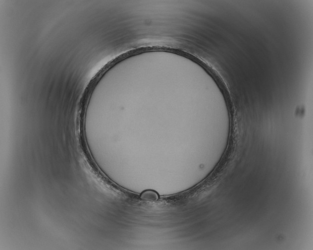 X0000110680983200907021906