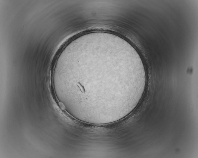 X0000110680984200907021906