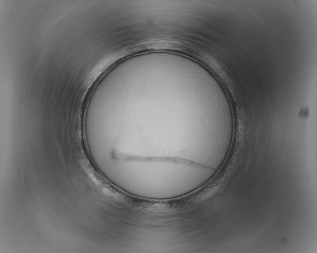 X0000110680986200907021906