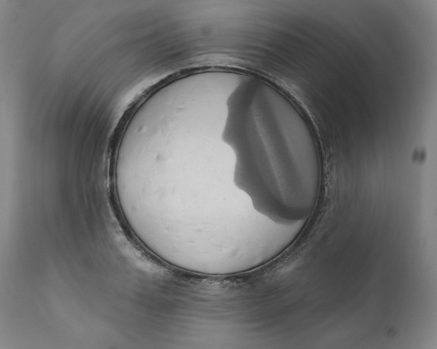 X0000110680987200907021906