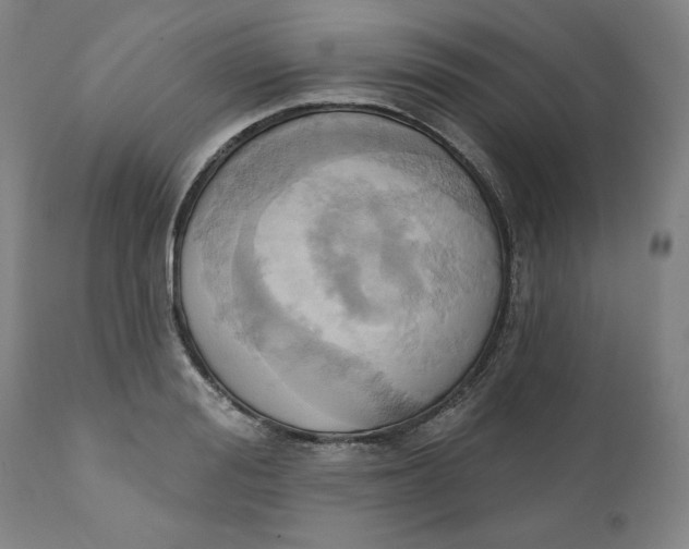 X0000110680988200907021906