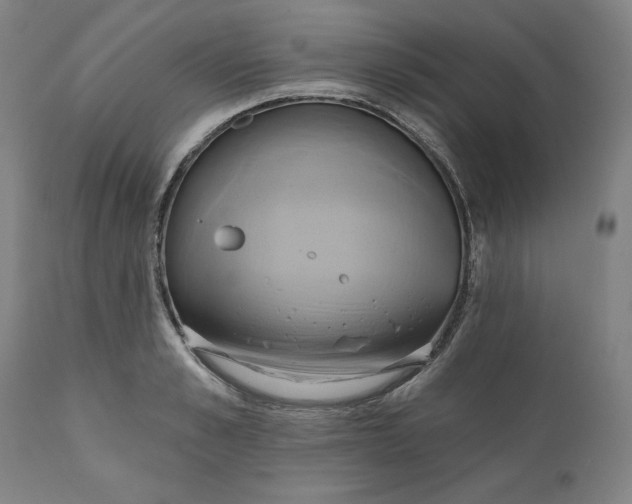 X0000110680989200907021906