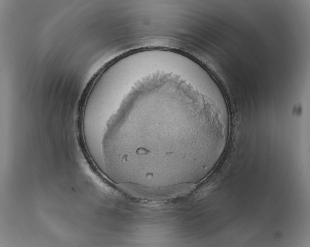 X0000110680991200907021906