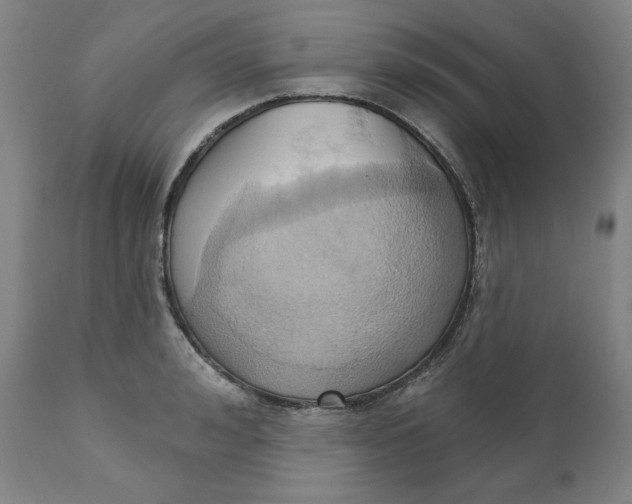 X0000110680992200907021906