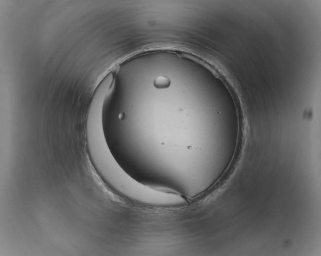 X0000110680993200907021906