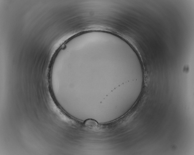 X0000110680995200907021906