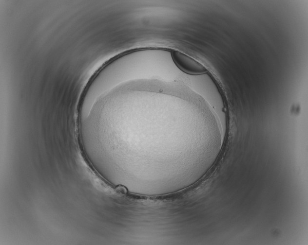 X0000110680996200907021906