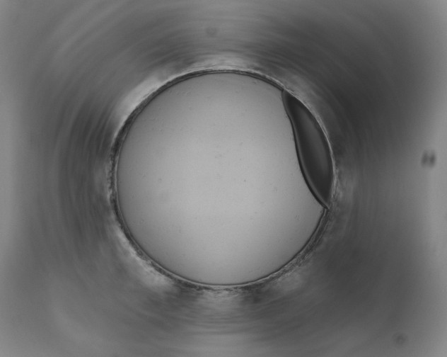 X0000110680997200907021906