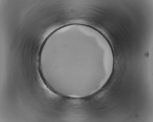 X0000110680999200907021906