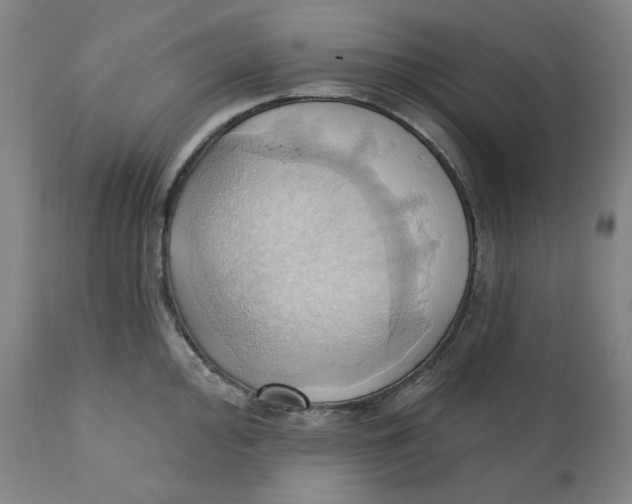 X0000110681000200907021906