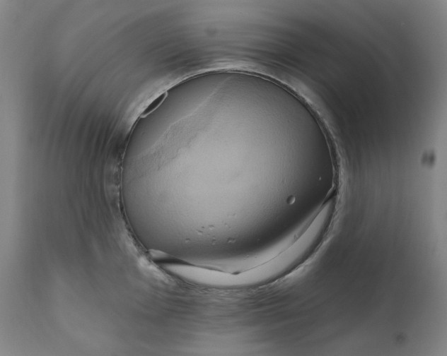 X0000110681001200907021906