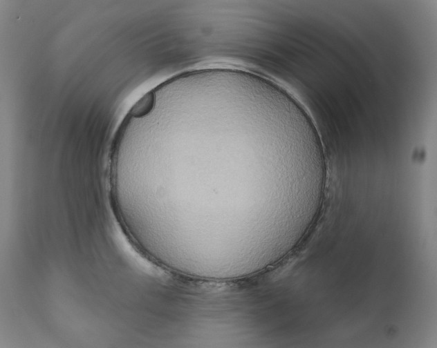 X0000110681003200907021906