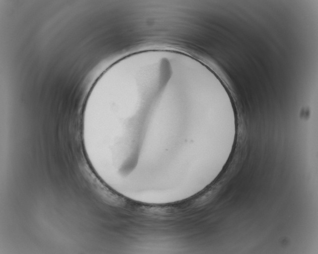 X0000110681004200907021906