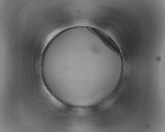 X0000110681005200907021906