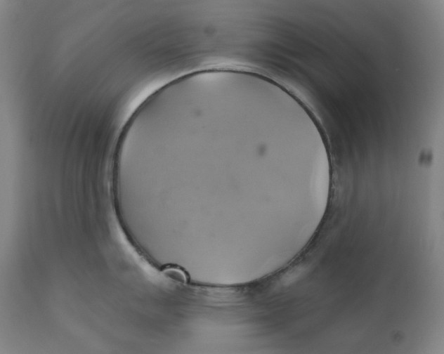 X0000110681007200907021906