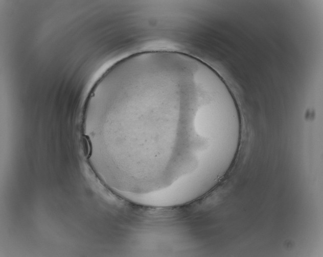 X0000110681008200907021906