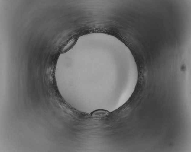 X0000110681010200907021905