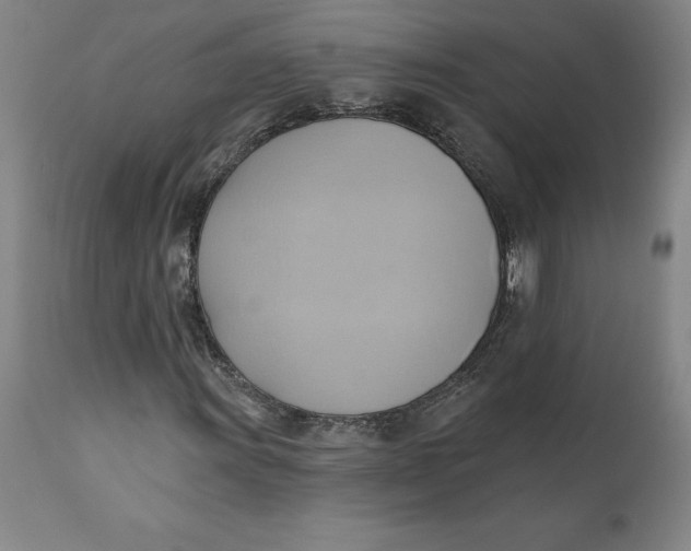 X0000110681011200907021905