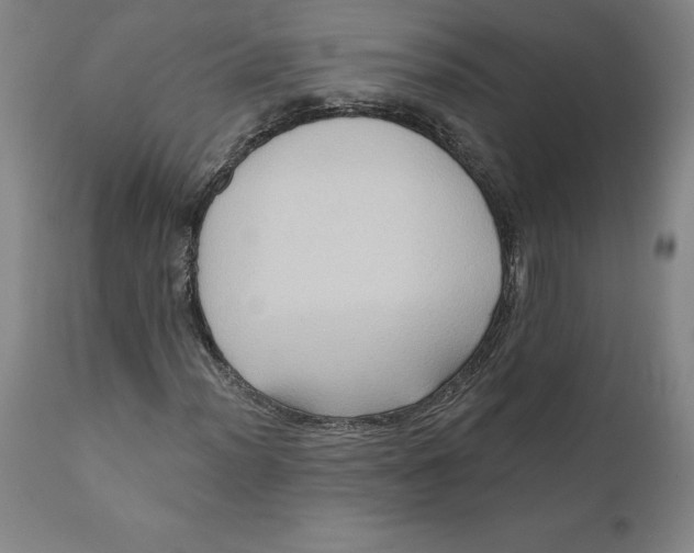 X0000110681012200907021905