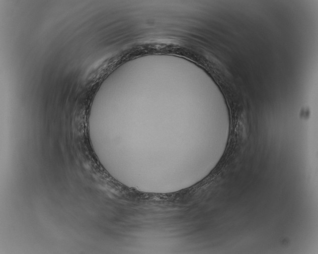 X0000110681014200907021905