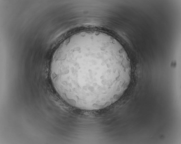 X0000110681015200907021905