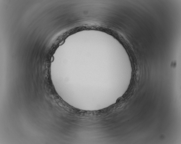 X0000110681016200907021905