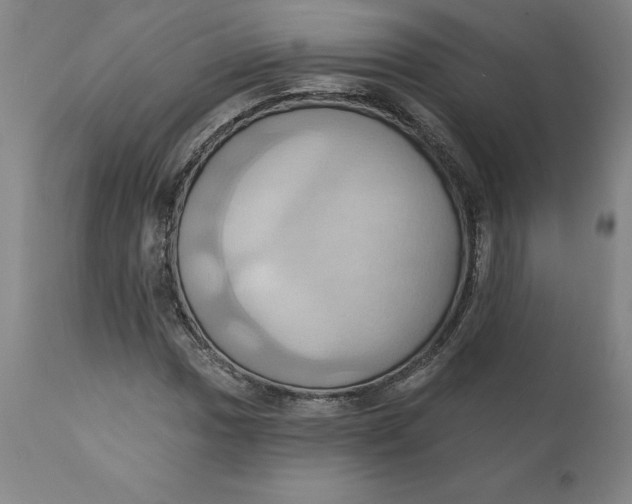 X0000110681017200907021905