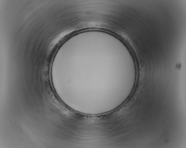 X0000110681019200907021905