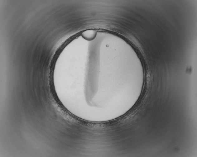 X0000110681020200907021905