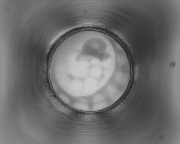 X0000110681021200907021905