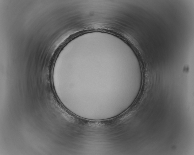 X0000110681023200907021905