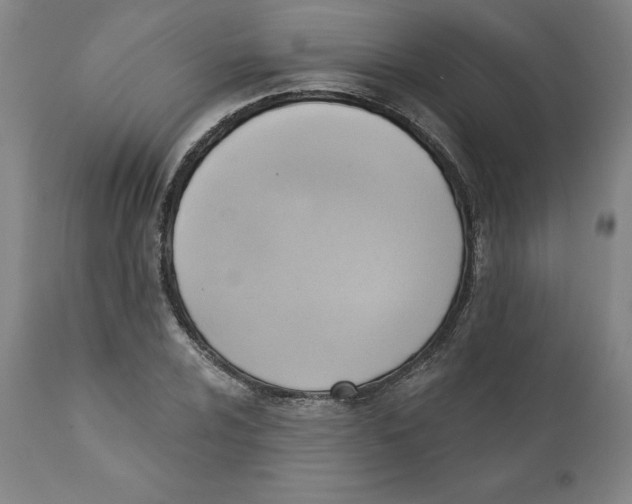 X0000110681024200907021905