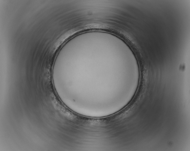 X0000110681025200907021905