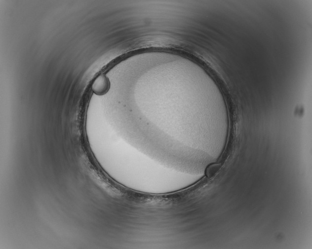 X0000110681026200907021905