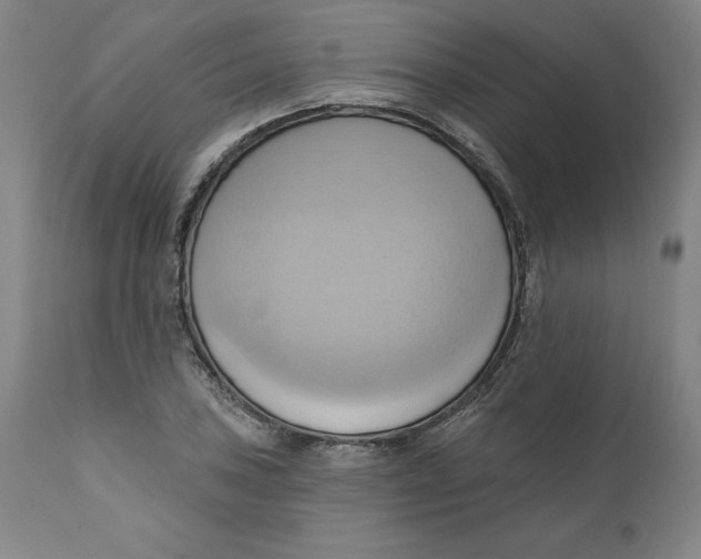 X0000110681027200907021905