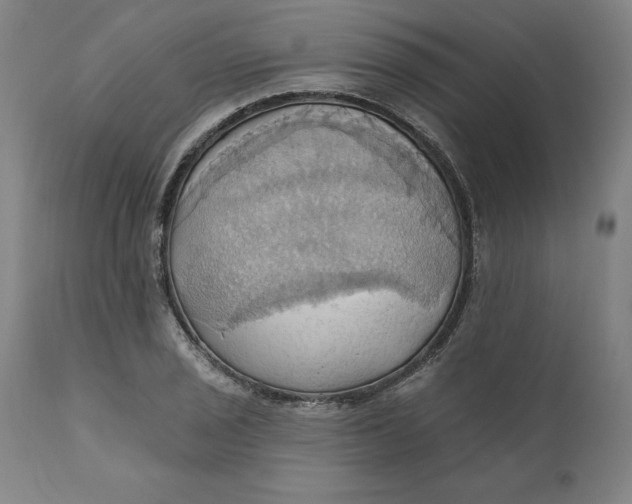 X0000110681029200907021905