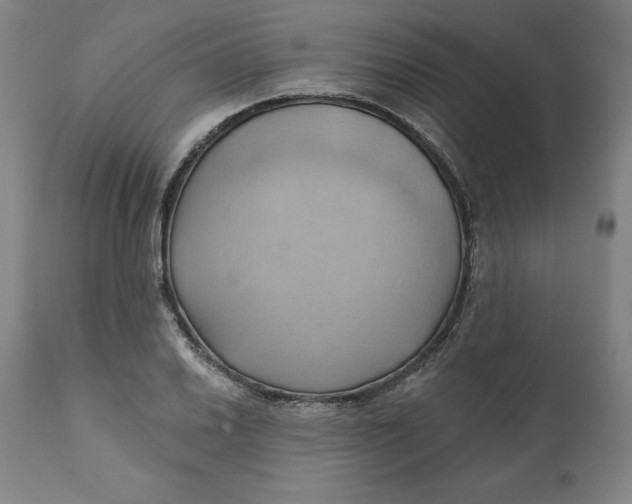 X0000110681030200907021905